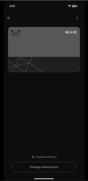 Graphic