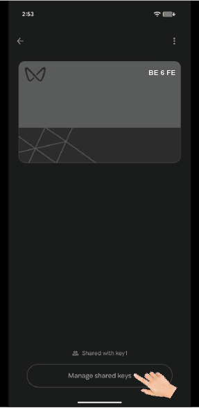 Graphic