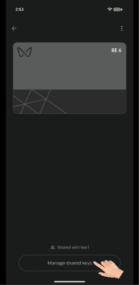 Graphic