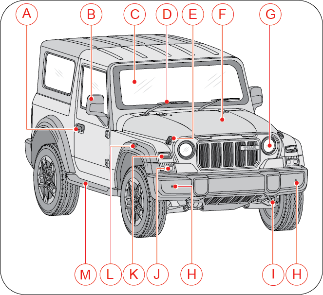 Graphic
