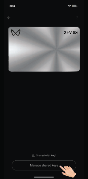 Graphic