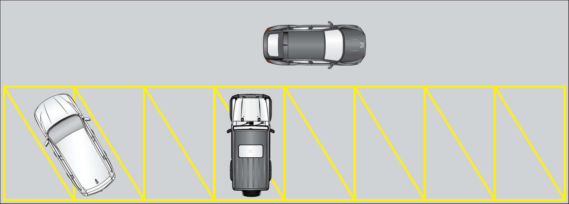 Graphic